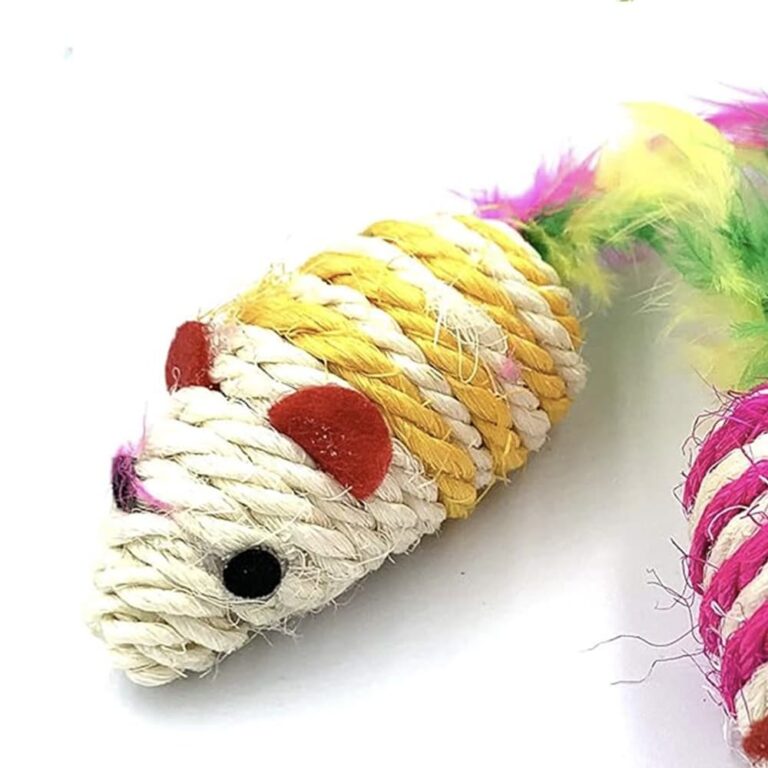 Scratching Mouse Cat Toy Cat Nip & Colorful Feathers