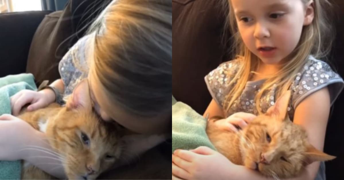 Touching Video Shows Little Girl Singing a Goodbye Song to Her Beloved Cat