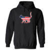 America Kitty Hoodie Black