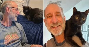 Monkey the rescued cat