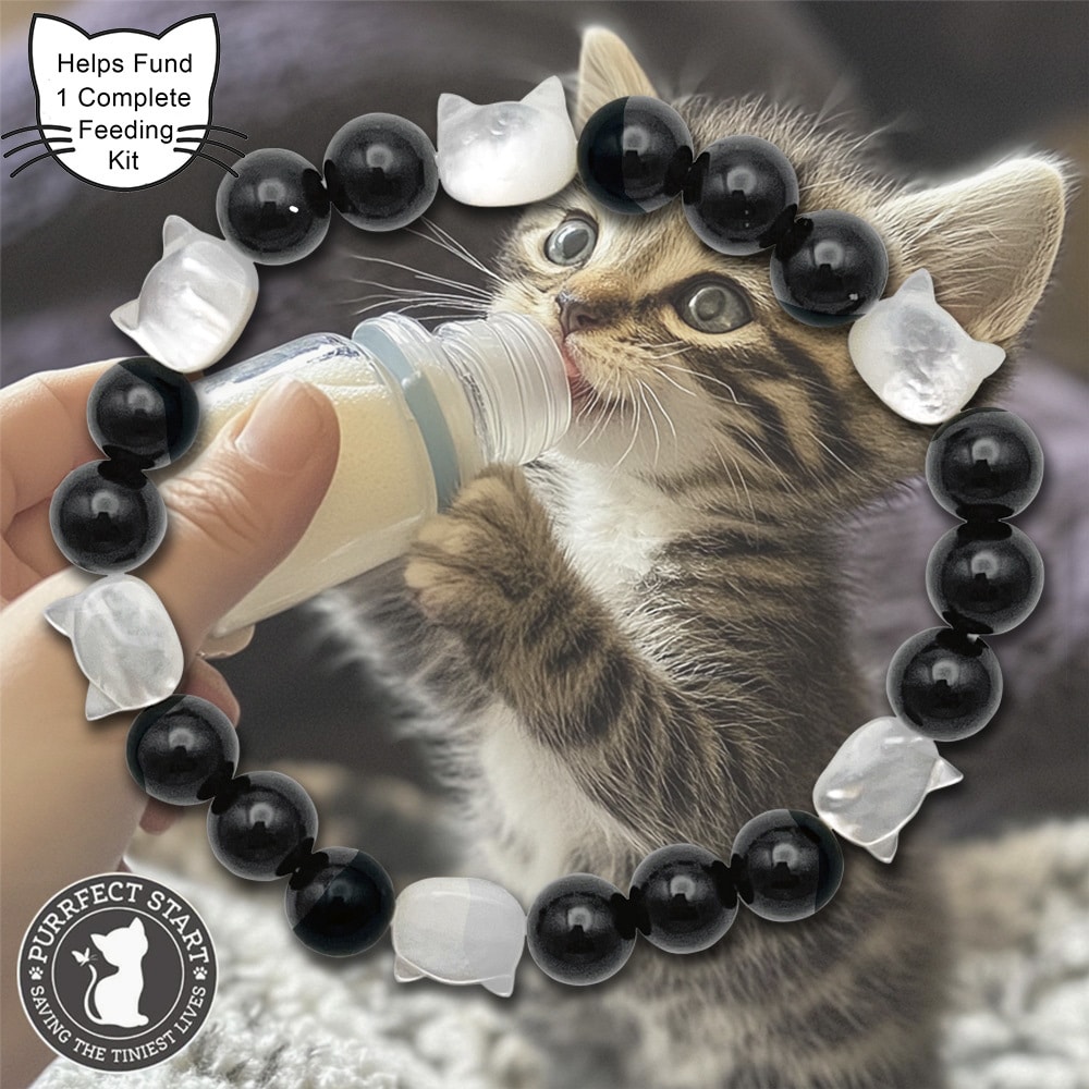 Purrfect Start Pearlized Kitten Beaded White & Black Bracelet - Saving The Tiniest of Lives