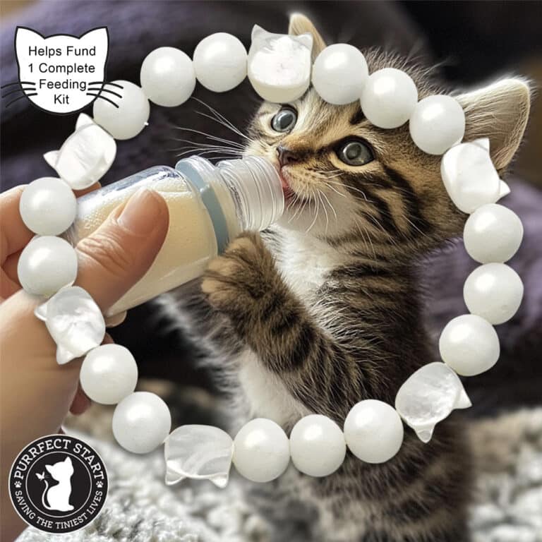 Purrfect Start Pearlized Kitten Beaded White Bracelet - Saving The Tiniest of Lives