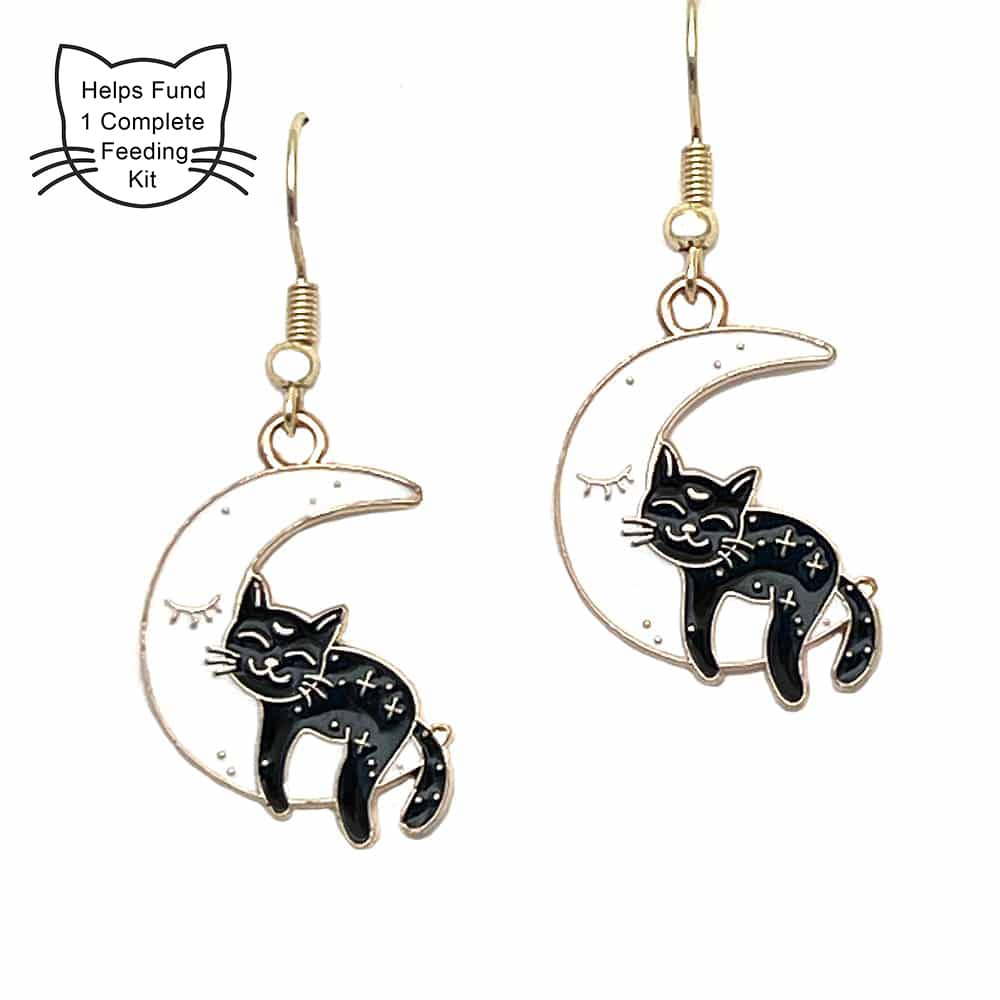 Purrfect Start- Sweet Sleepy Kitty Snuggles on the Moon - Saving The Tiniest Of Lives