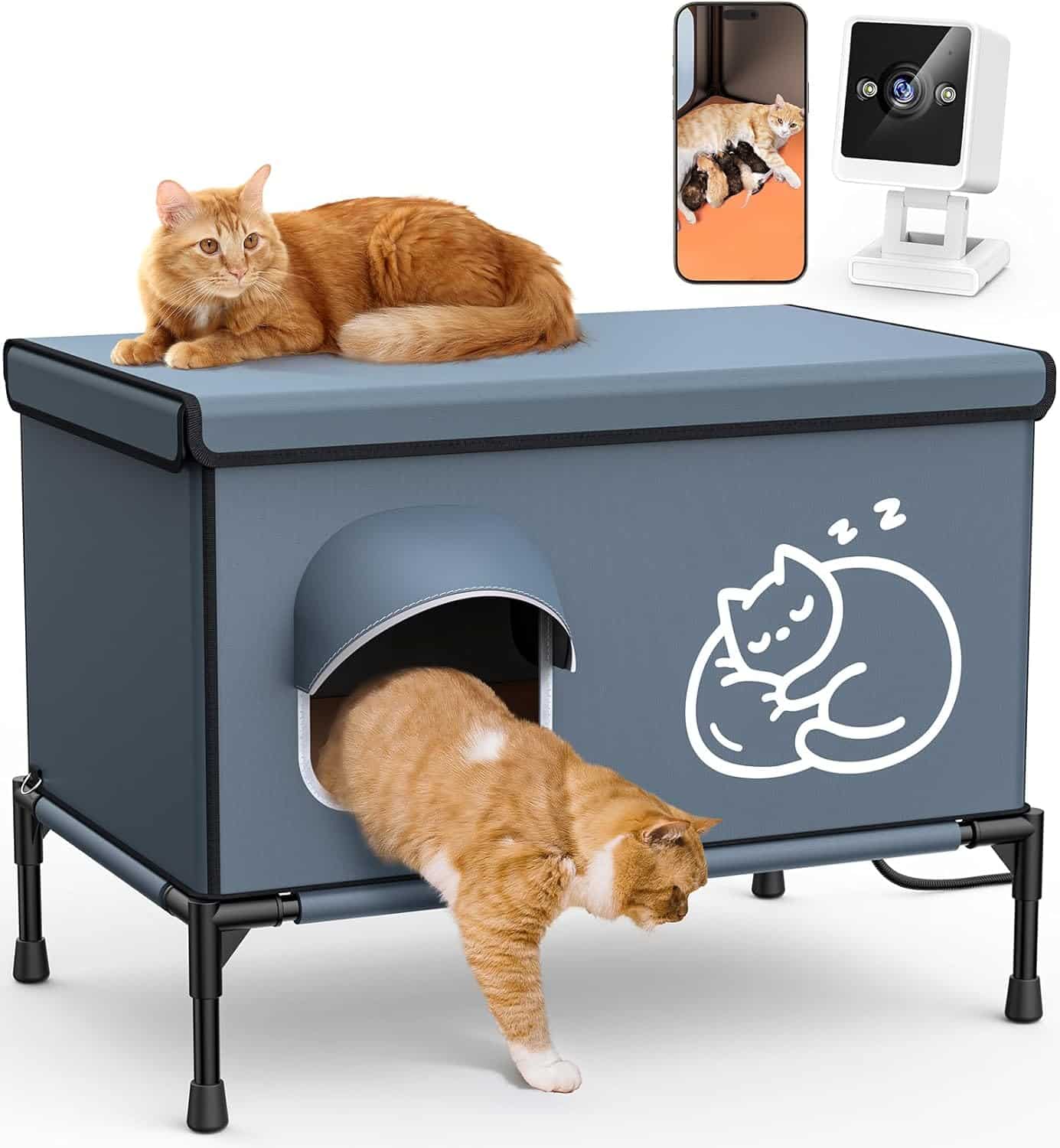 Heated Outdoor Cat House with Camera
