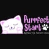 Purrfect Start - Hello Sweet Kitty Standard Black Tee - Saving The Tinest Lives - Image 2