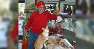 Stray cat at butcher shop