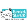 Purrfect Start - Say Hello Kitty Standard Tee White With Aqua - Image 2