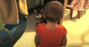 Cute moment with baby and cat looking at each other