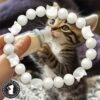 Purrfect Start Pearlized Kitten Beaded White Bracelet - Saving The Tiniest of Lives