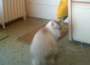Finn finally sees Nick