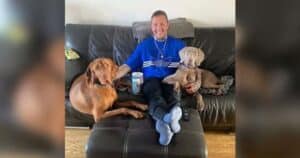 Dog Owner Faces $20K Vet Bill