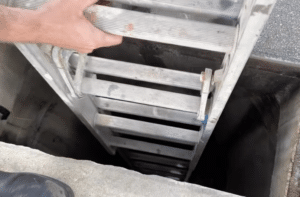 Kitten emerging from storm drain