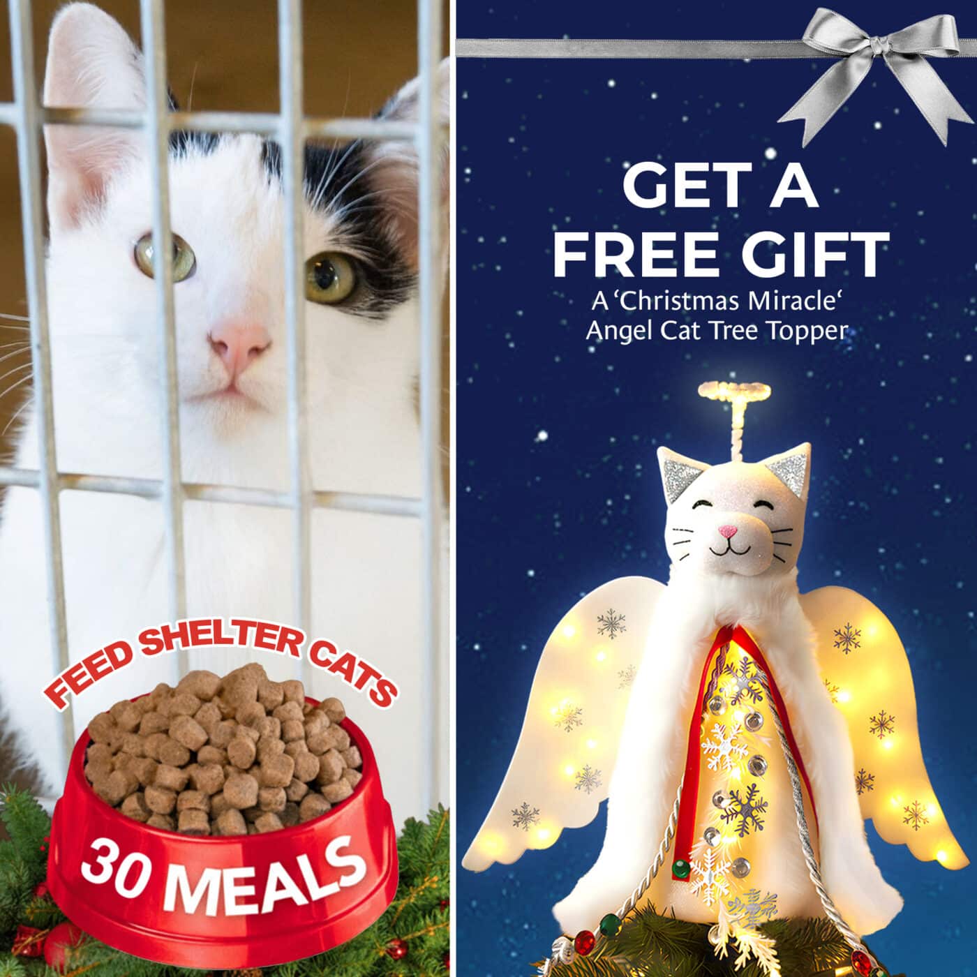 Fund 30 Meals for $20 & Get a FREE GIFT of A ‘Christmas Miracle‘ Angel Cat Tree Topper, Holiday Decoration-Lighted Snowflake Garland, Halo & Wings