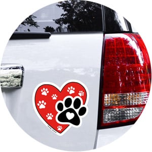 Car Magnets Products