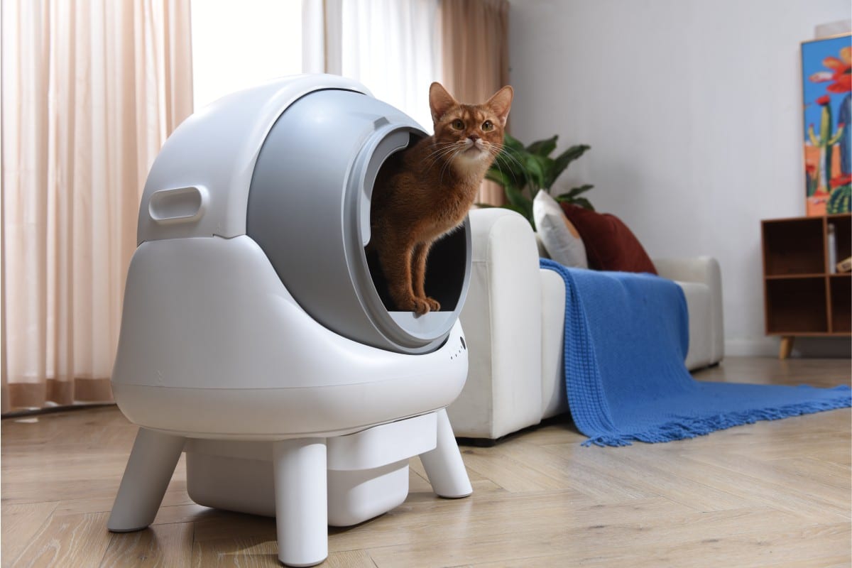 Revolutionize Your Cat’s Care With Els Pet Self-Cleaning Litter Boxes