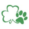 Paw &  Shamrock St. Paddys Day Standard Tee White - Image 2
