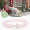 Special Offer STRĀ Cat Beaded Bracelet- Natural Rose Quartz Bead- Donates 10 Meals to Help Feed Hungry Stray Cats