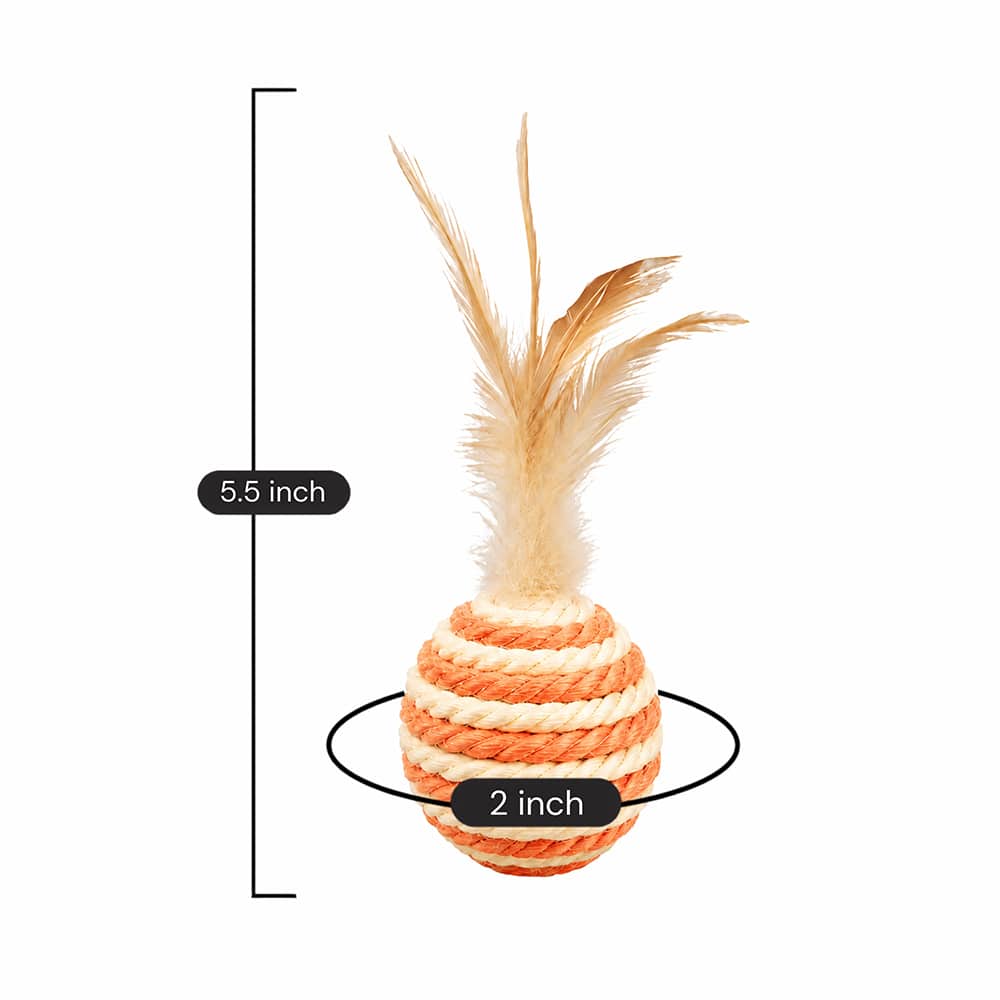 Secondary Product Image