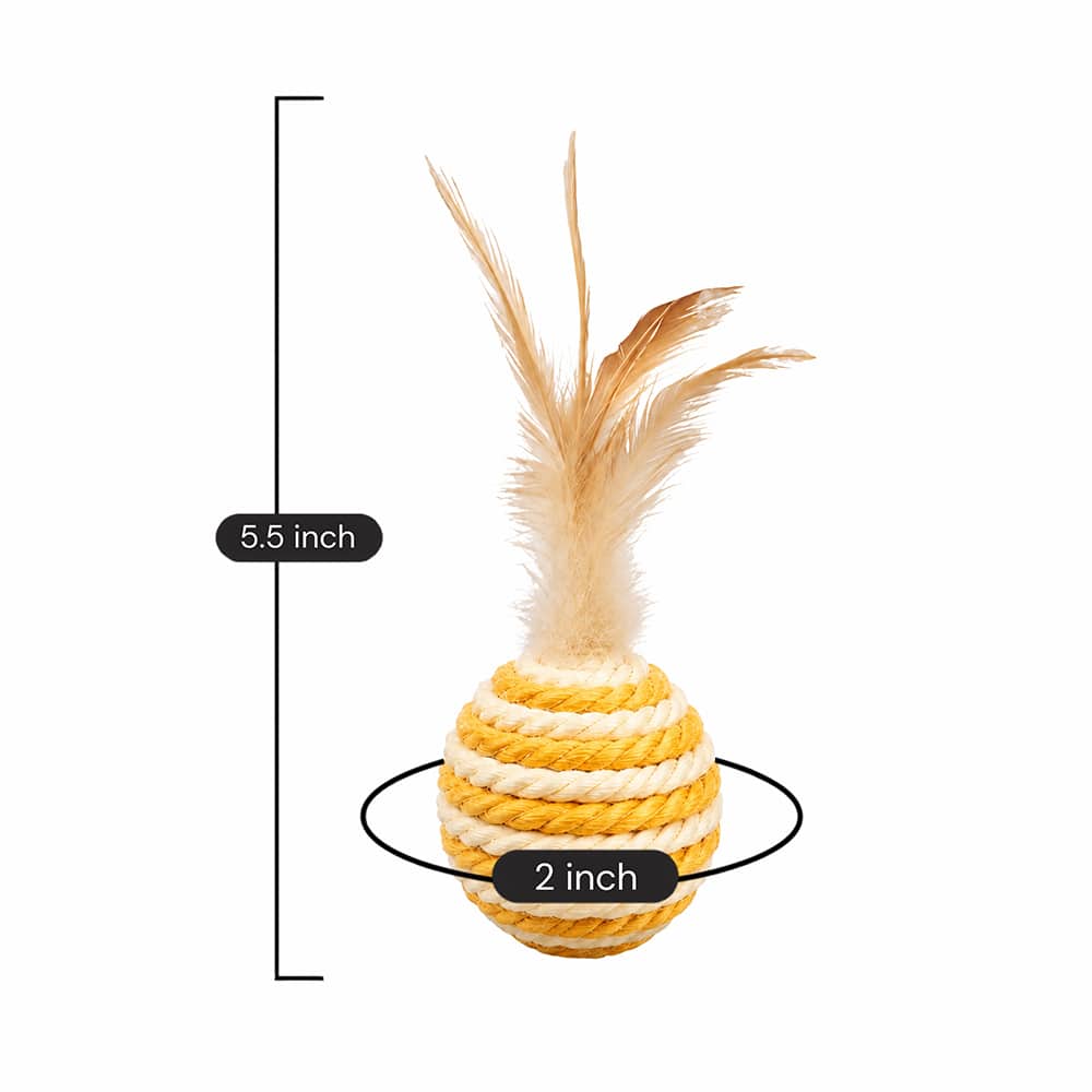 Secondary Product Image