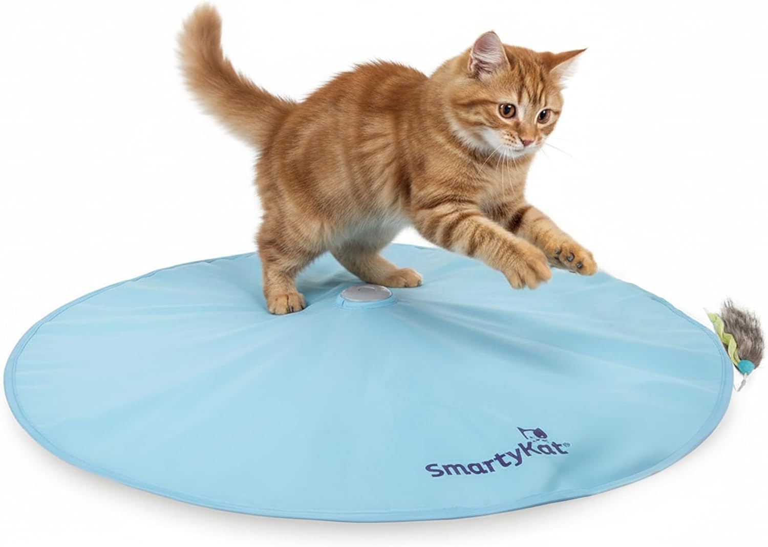SmartyKat Electronic Motion/Moving Toy