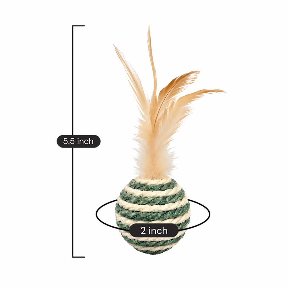 Secondary Product Image