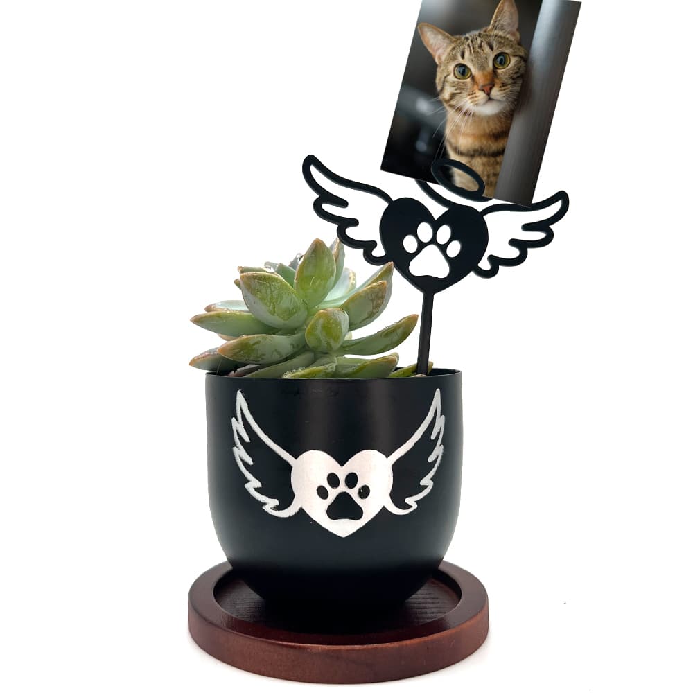 Fund 10 Meals for $10 and get this FREE Forever in My Heart Cat Paw Wing Garden Pot with Angel Wing Photo Stake - Inspirational Indoor Outdoor Garden Flower Pot