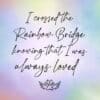 "Rainbow Bridge Wing Always Loved" - Treasured Memories Rainbow Bridge Cat Memorial - Magnetic Therapy Bracelet - Image 5