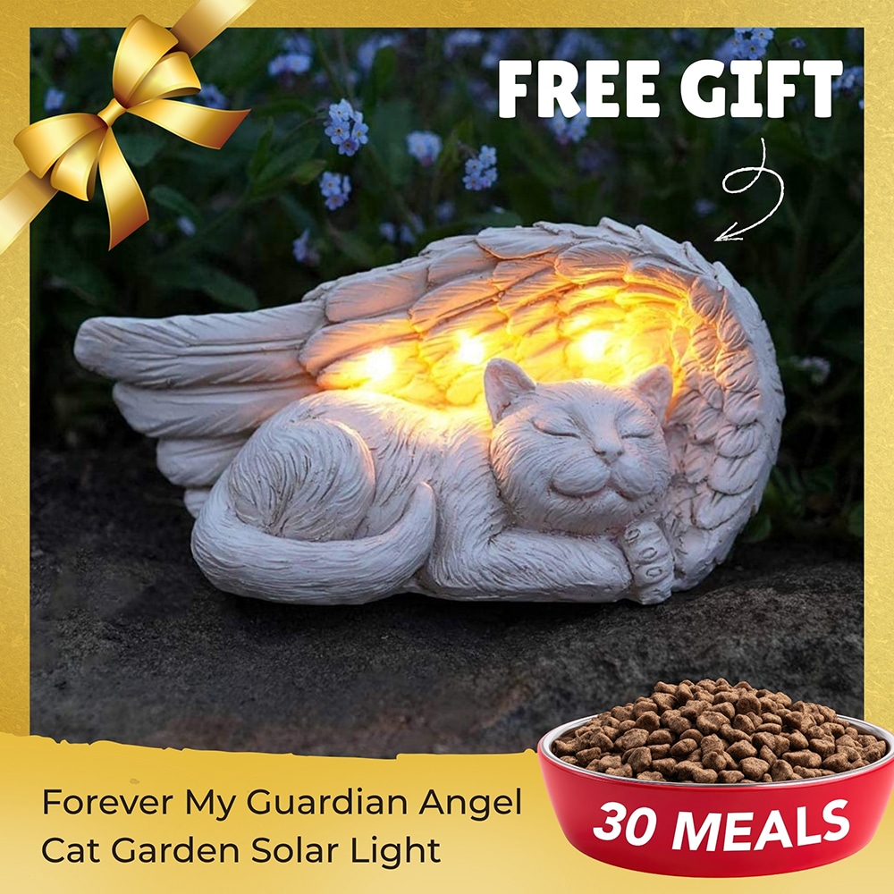 Fund 30 Meals for $30 and get this FREE Forever My Guardian Angel Cat Garden Solar Light