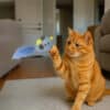 Pounce & Play Blue Feather Bird – Interactive Cat Toy - Helps Feed Hungry Shelter Cats in Need - Image 3