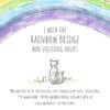 "I Wish the Rainbow Bridge Had Visiting Hours" - Limited Edition Memorial Bracelet: Feeds 22 Shelter Cats In Honor Of Your Beloved Cat❤️ - Image 6