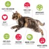 Buy 2 and SAVE 12% - iHeartCats Nutrition Boost Beef Food Topper –Tasty Freeze Dried Beef with Probiotics, Collagen, Salmon Oil, Blueberries & Carrots - Image 4