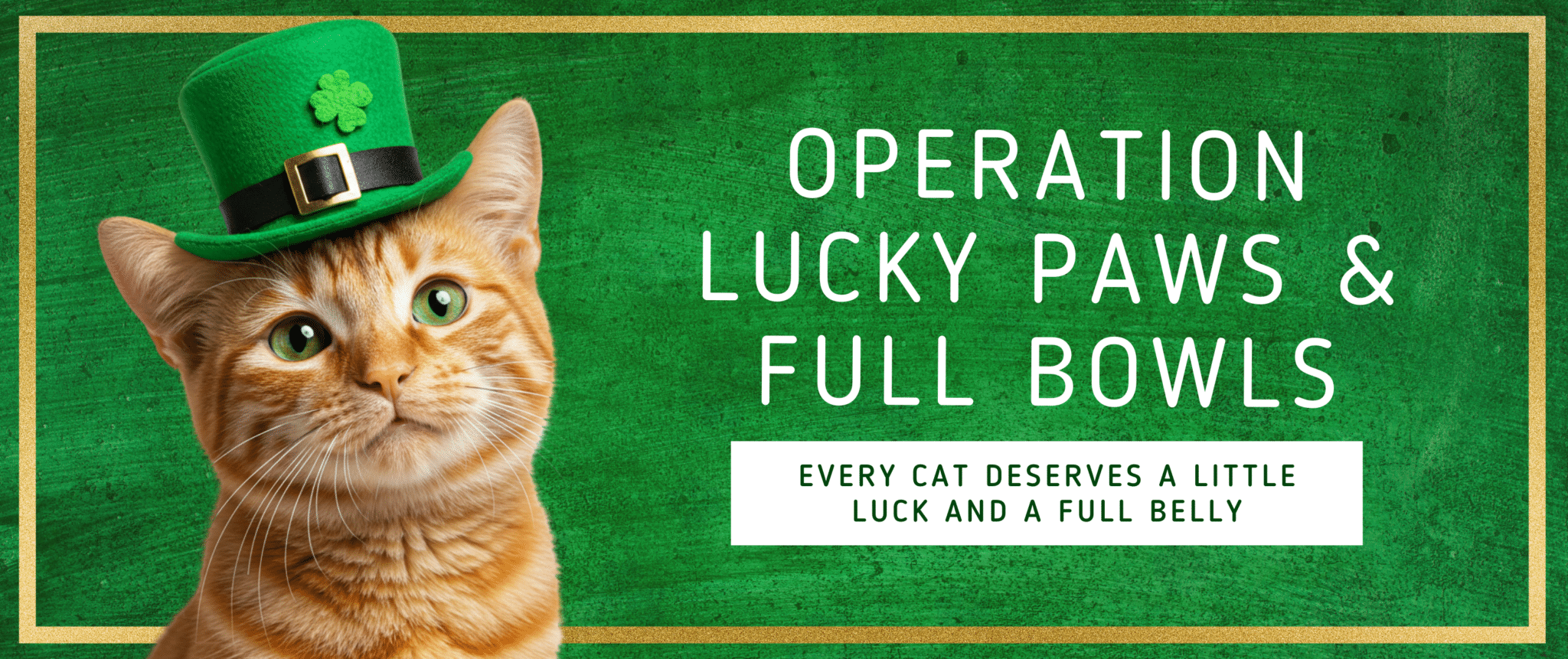 Op Lucky Paws Cats