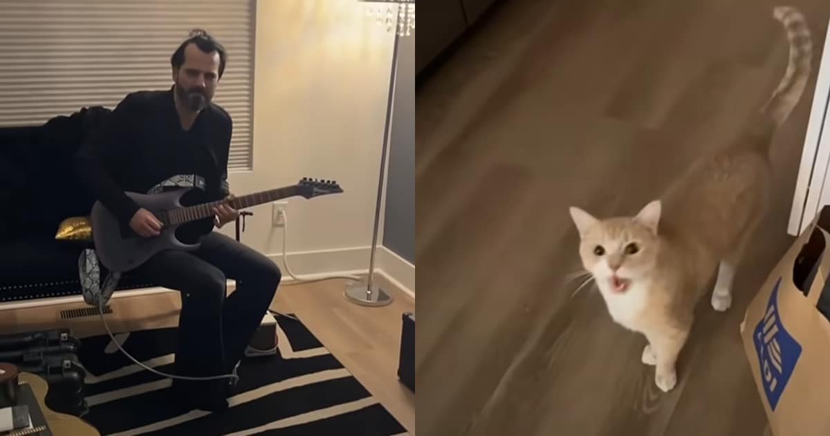 Who’s the Real Star in This Purr-fect Jam Session?