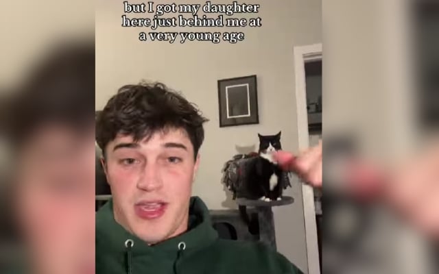 Feisty Kitty
