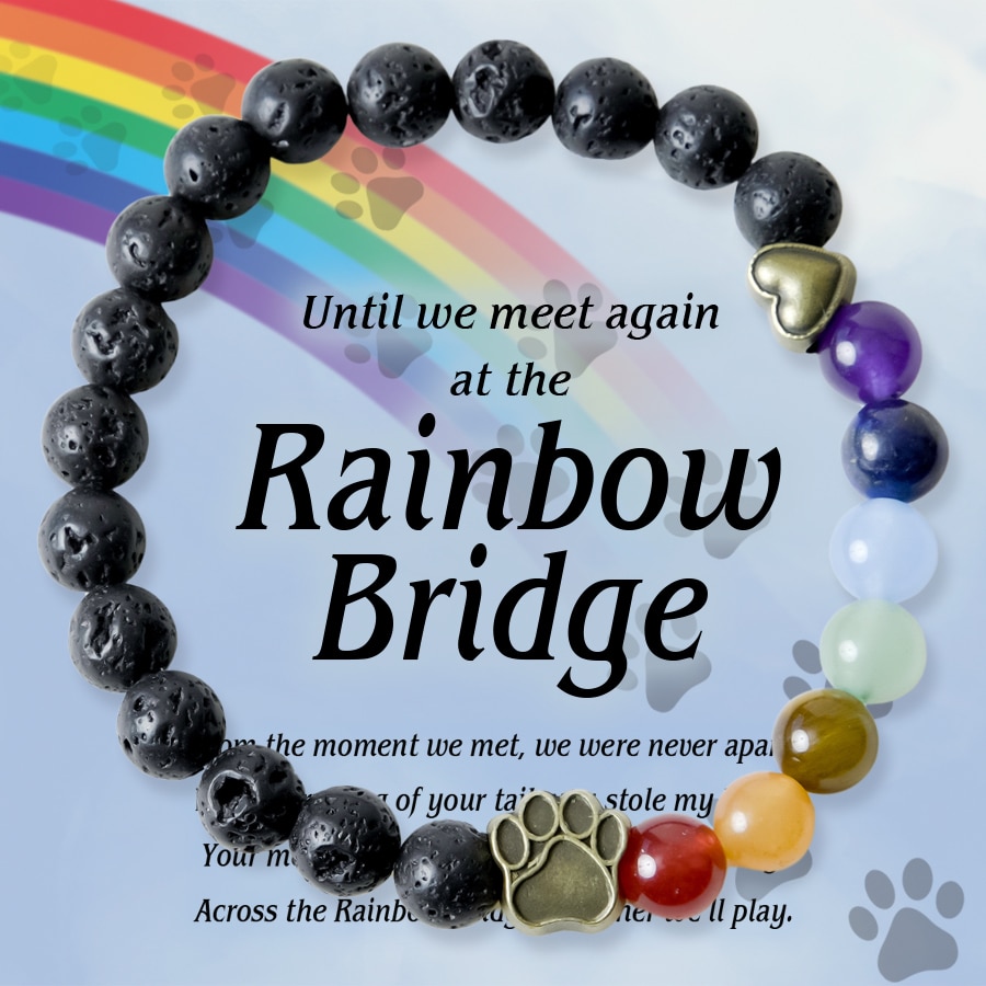 "Until We Meet Again At the Rainbow Bridge" - Rainbow Bridge - I Will Love You Forever Bracelet: Feeds 7 Shelter Cats In Loving Memory of Your Cat