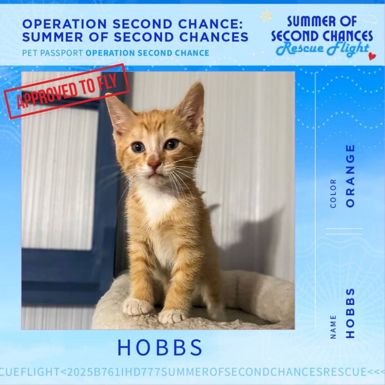 25-06_PetPassports Dogs and CatsPetPassport-Hobbs
