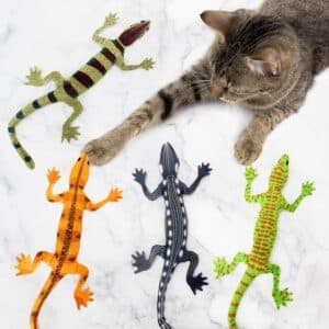 CiyvoLyeen Lizard Catnip Toys Chew Bite Resistant Toys