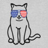Patriotic Cool Kitty Standard Tee Heather Grey - Image 2