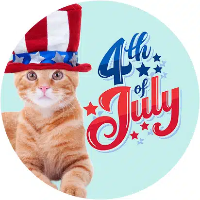 4th of July Products