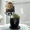 Fund 50 Meals for $25.00 and Get A FREE Heavenly Paws: ‘Sometimes God Sends Angels’ Wooden Sign and Forever in My Heart Cat Paw Wing Garden Pot with Angel Wing Photo Stake - Image 11