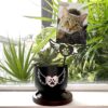 Fund 50 Meals for $25.00 and Get A FREE Heavenly Paws: ‘Sometimes God Sends Angels’ Wooden Sign and Forever in My Heart Cat Paw Wing Garden Pot with Angel Wing Photo Stake - Image 13