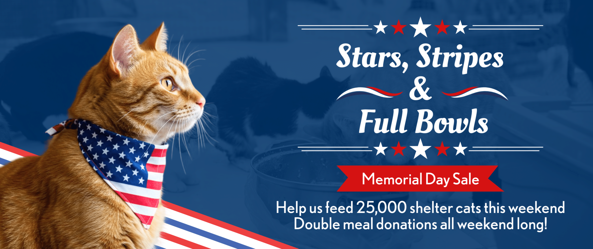 Stars, Stripes & Full Bowls LP - Cat Desktop