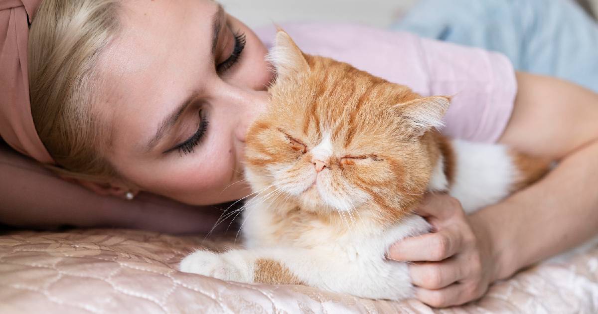 Celebrate ‘Hug Your Cat Day’ With These Cuddle-Inducing Tips, Treats & Toys