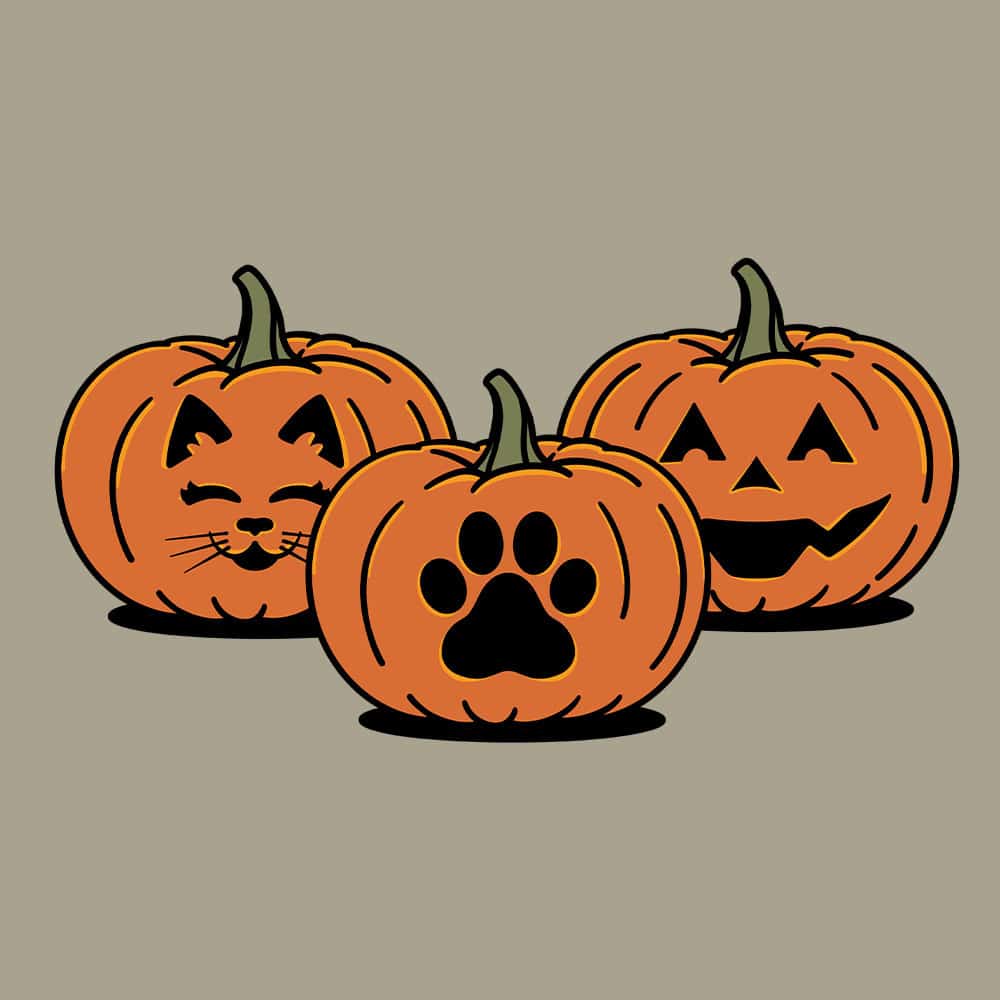 Secondary Product Image