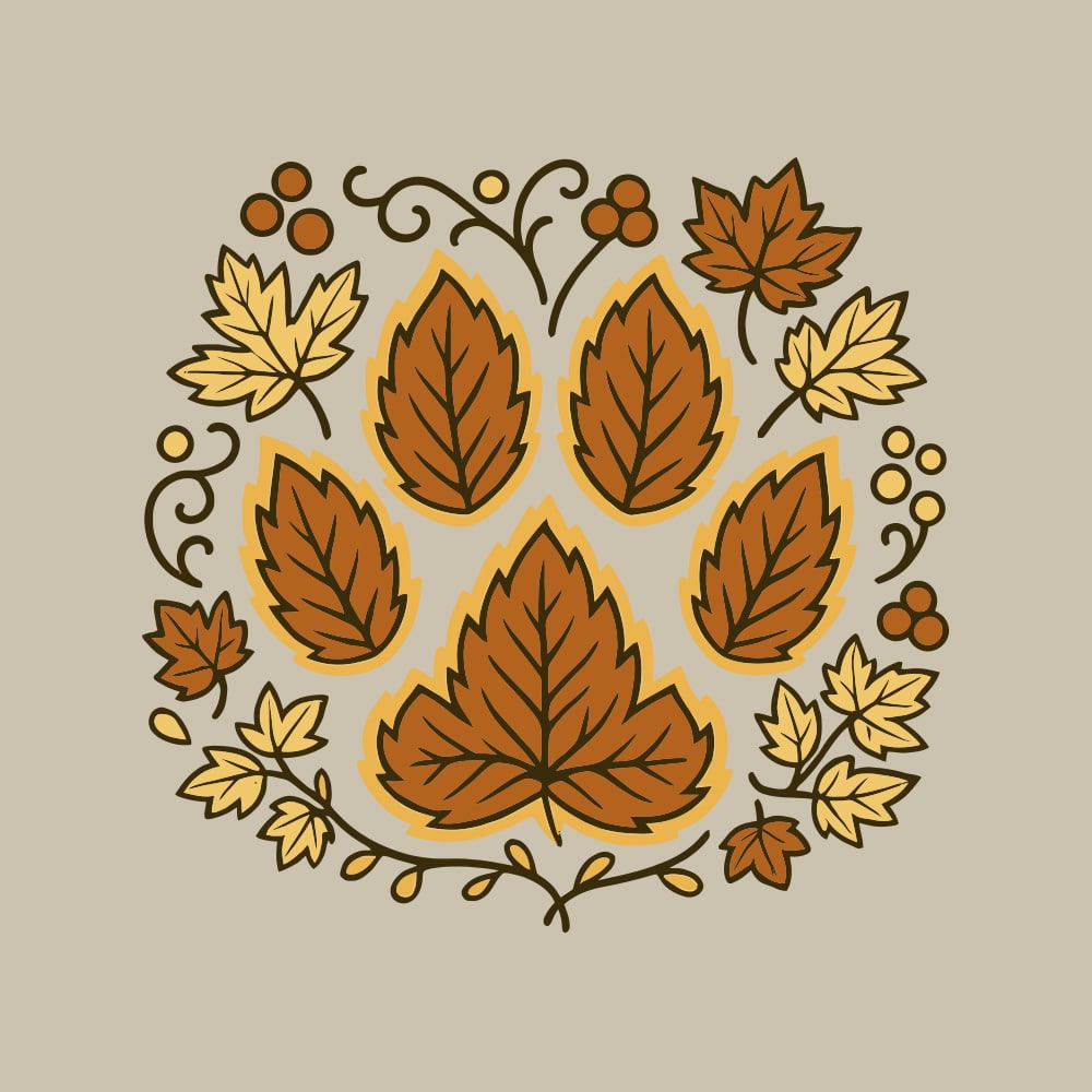 Secondary Product Image