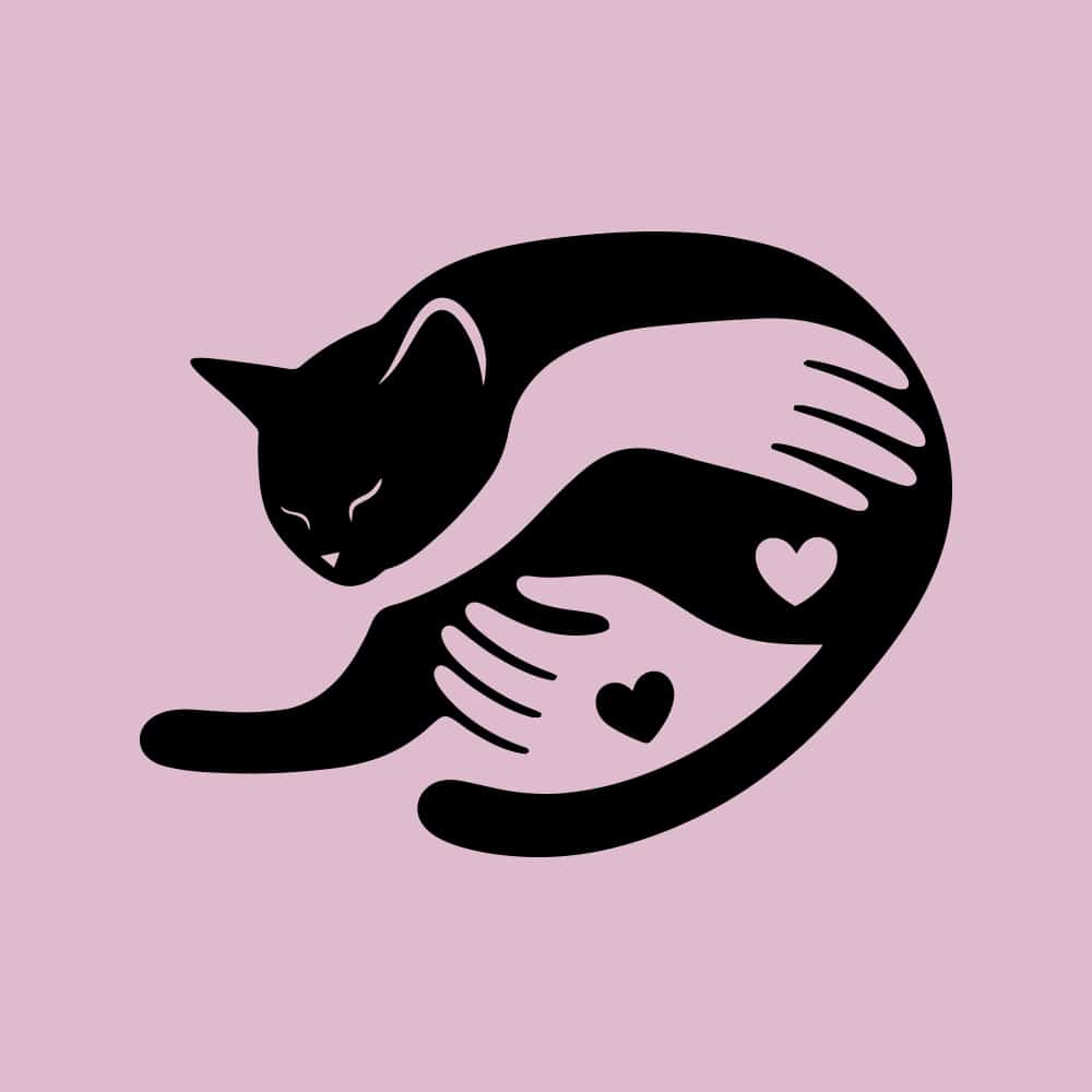 Secondary Product Image