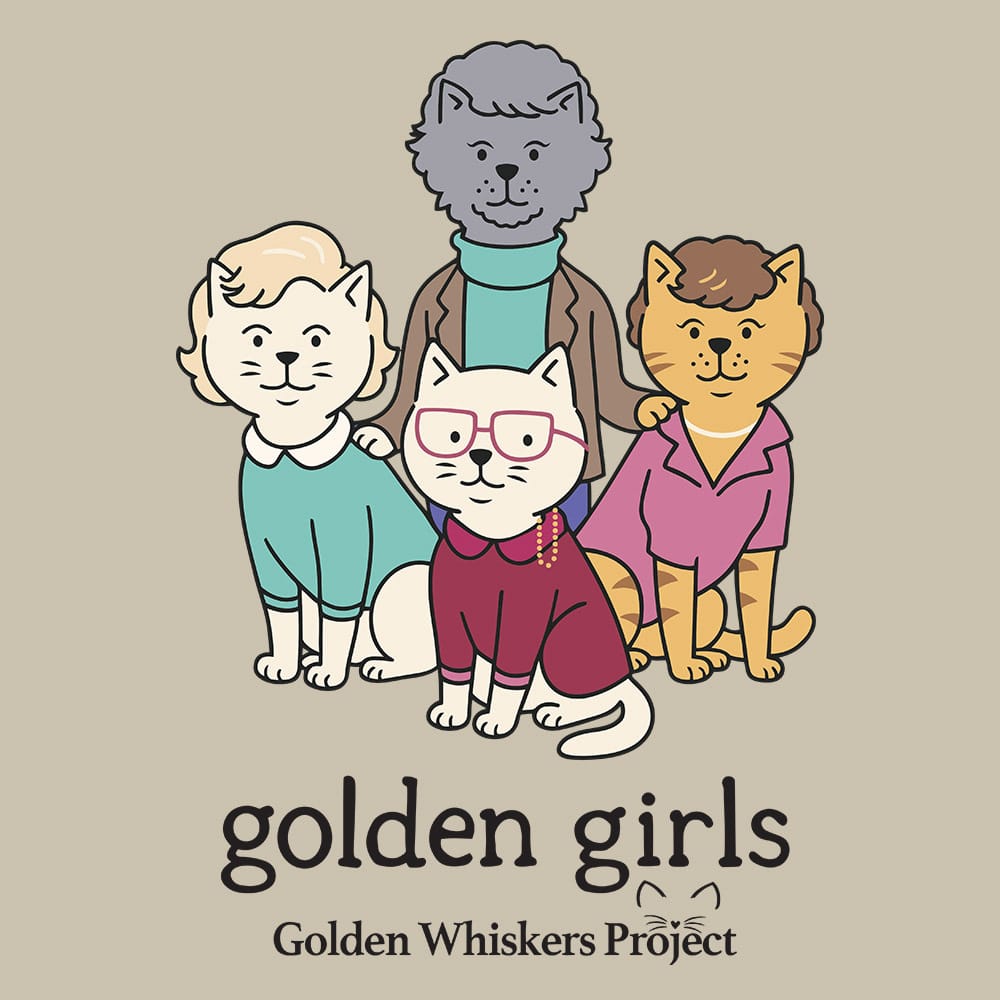 Secondary Product Image