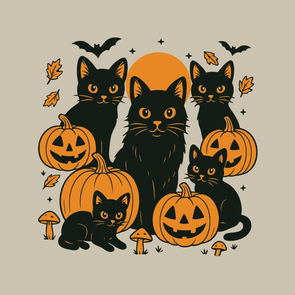 Secondary Product Image