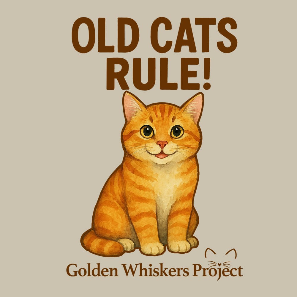 Secondary Product Image