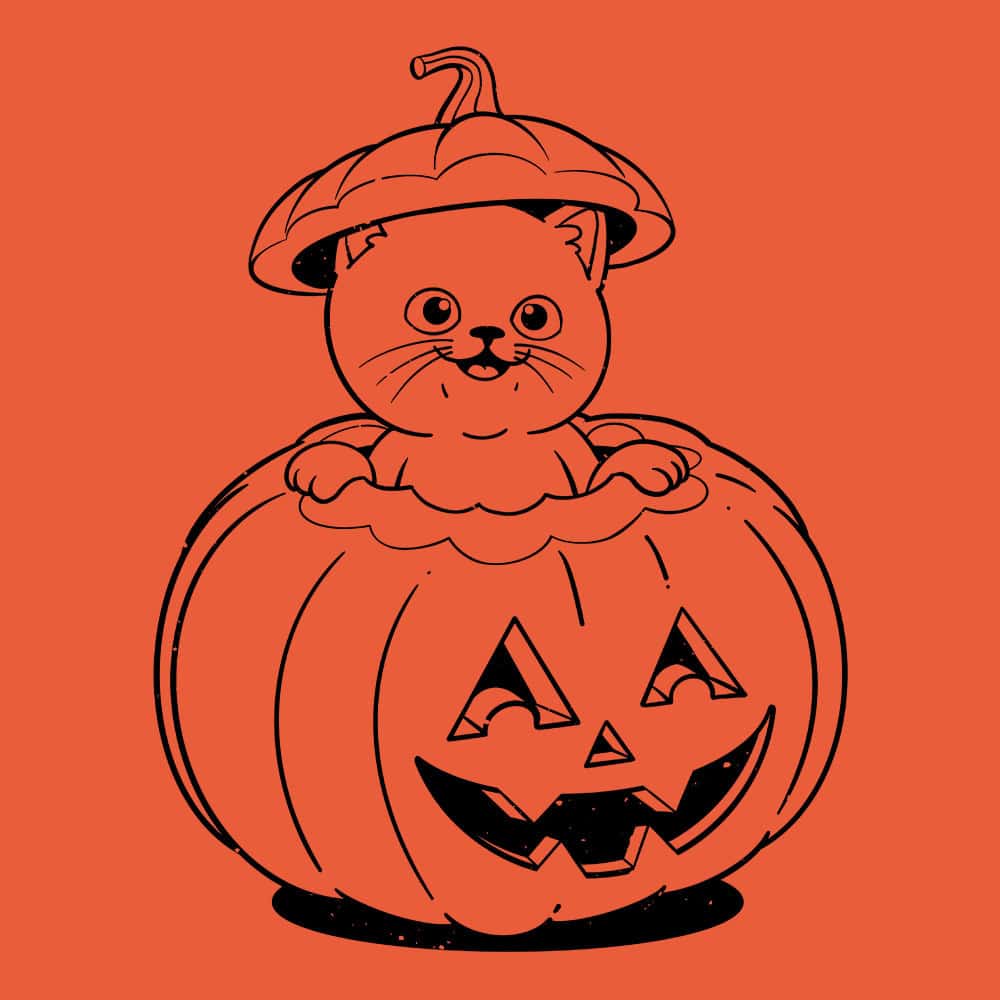 Secondary Product Image